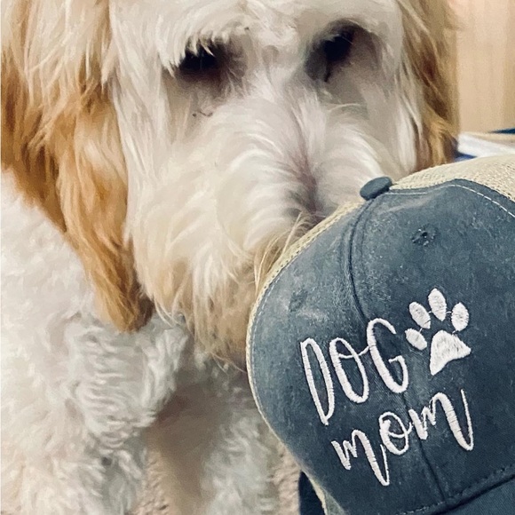 Meet your Posher, Tracie - Picture 2 of 3